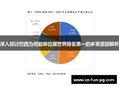 深入探讨巴西为何能够位居世界排名第一的多重原因解析