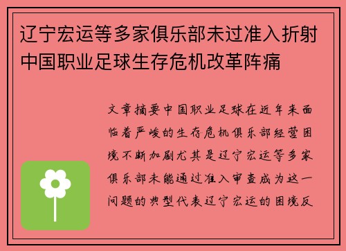 辽宁宏运等多家俱乐部未过准入折射中国职业足球生存危机改革阵痛